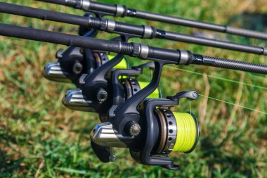 Sazan dönen olta oltası ayakta duruyor. Sazan Çubukları, Laklarda balık avı. Profesyonel balıkçılık ekipmanları.