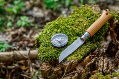 Ormandaki bir kütükte, orman çiçekleriyle birlikte bir fincan çay. Seyahat konsepti. Turist çeliği kupası ve yaz ormanlarında pusula. Doğanın arka planında bıçak.,