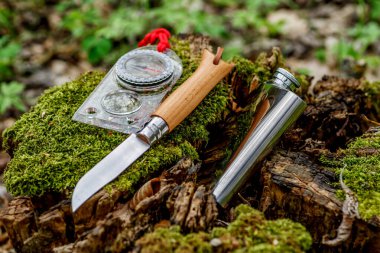 Ormandaki bir kütükte, orman çiçekleriyle birlikte bir fincan çay. Seyahat konsepti. Turist çeliği kupası ve yaz ormanlarında pusula. Doğanın arka planında bıçak.,