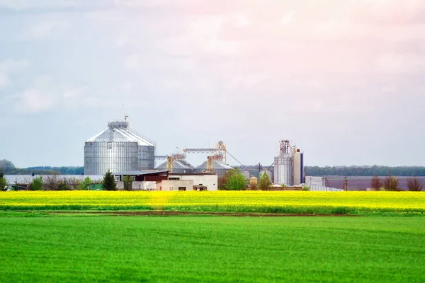 Silos Agrícolas Edificio Exterior Almacenamiento Secado Granos Trigo Maíz Soja —  Fotos de Stock