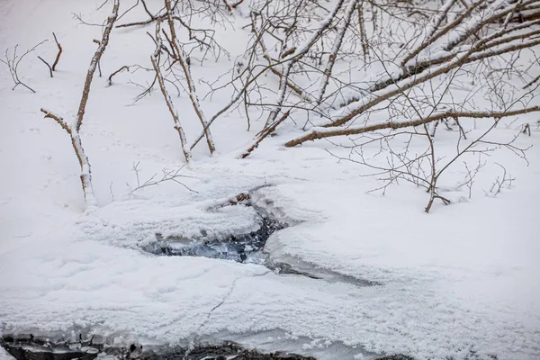 Superfície congelada de pequeno riacho coberta de neve e pequenas árvores — Fotografia de Stock