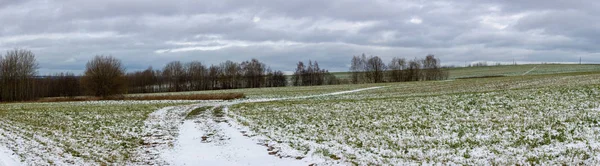 Campo con hierba verde después de caer de la primera nieve Fotos De Stock