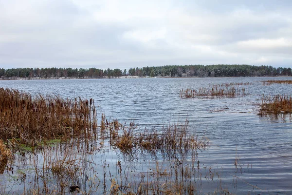 Övre Volga i början av vintern. Landskap med skog och — Stockfoto