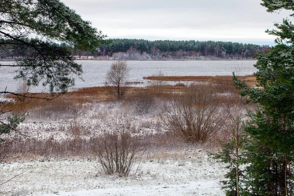 Upper Volga at the beginning of winter. Landscape with forest an — Stock Photo, Image