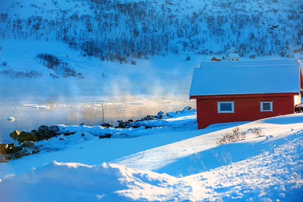 Kuzey Kutbu 'nda kış manzarası. Parlak balıkçı evleri