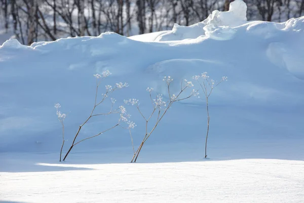 Arka planda pırıl pırıl kar yağan fabrikalar