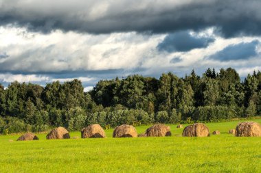 Güzel kırsal alan. Kırsal alan sahnesi.
