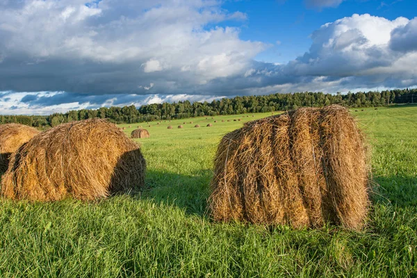 Haystacks sur un terrain fauché vert vif contre — Photo