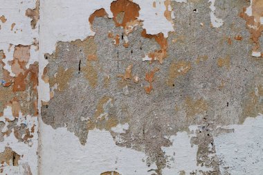 Arka planda boyalı duvar var.