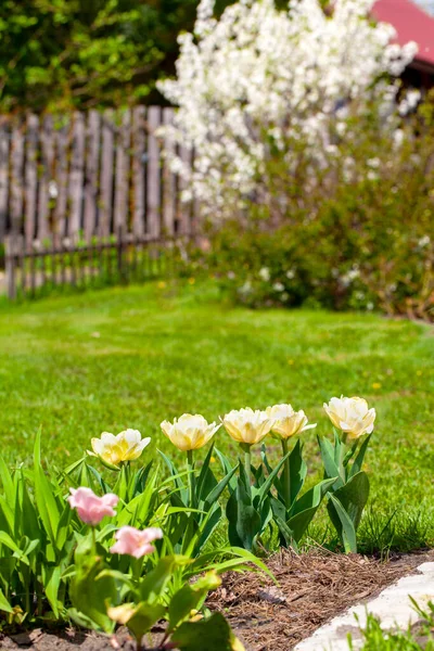 Çiçek açan bir baharın parçası.. 