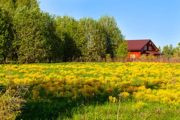 stock image Bright spring landscape. Country landscape