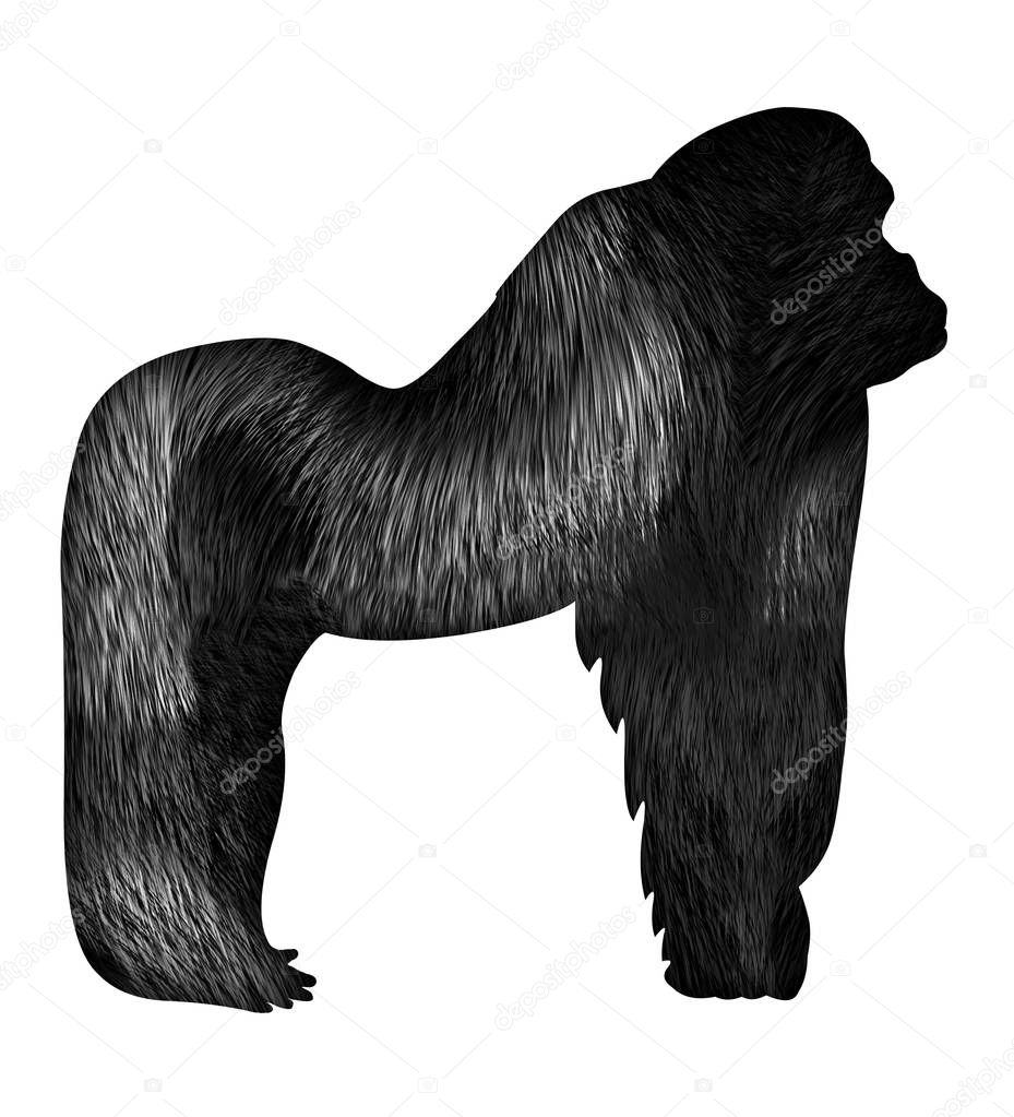 The Gorilla icon 