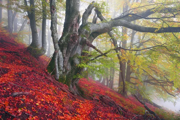 Herbst in den Bergen Europas — Stockfoto