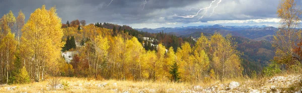 Золотий лісу на хребет Сокільський — стокове фото