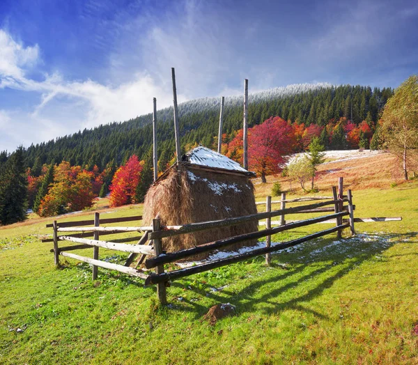 Haystack et hêtres en automne — Photo