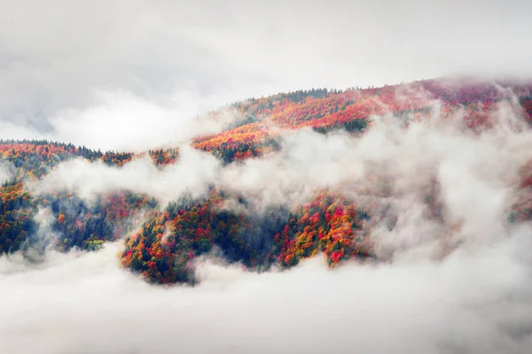Nevoeiro do mar após chuva nas montanhas — Fotografia de Stock