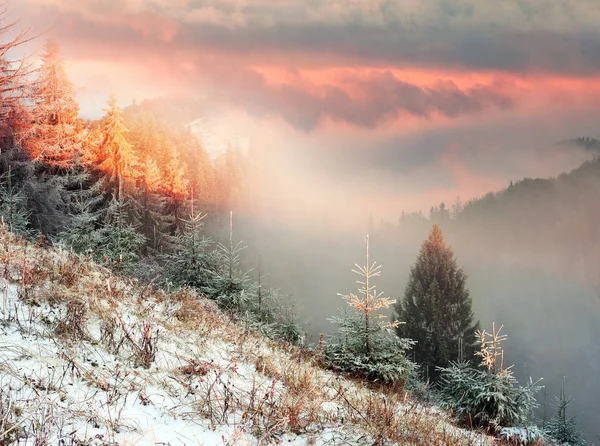 Sokal Ridge i höst — Stockfoto