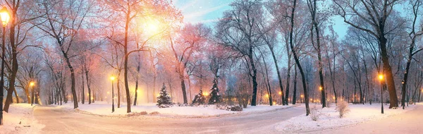 Illuminated park at night — Stock Photo, Image