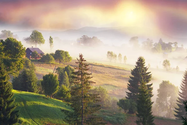 Foggy sunrise in the Carpathian mountains — Stock Photo, Image