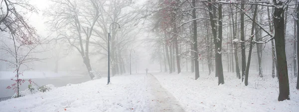 Walking the dog in the fog — Stock Photo, Image