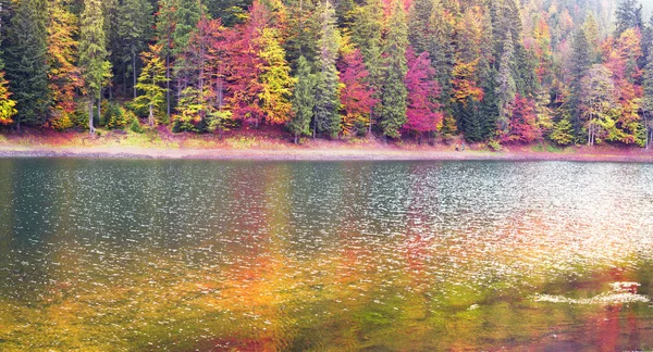 Синевирське озеро осінні кольори — стокове фото