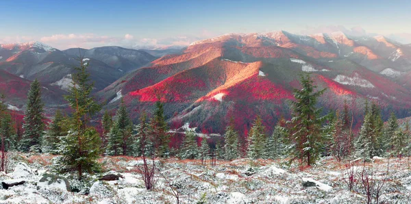 Φθινόπωρο στο όρος Dovbushanka — Φωτογραφία Αρχείου