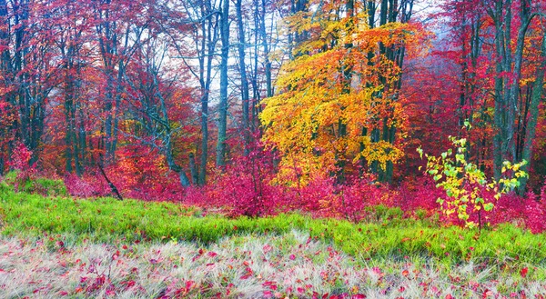 Outono nas montanhas da Europa — Fotografia de Stock