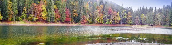 Synevir lake herfst kleuren — Stockfoto