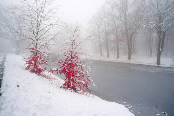 Lake City Ivano-Frankovsk — Stock Photo, Image