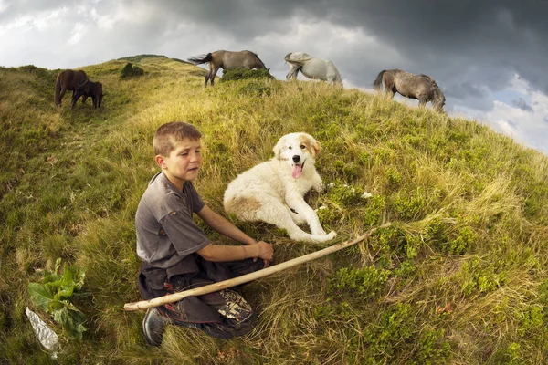 Herder en trouwe ruige hond — Stockfoto