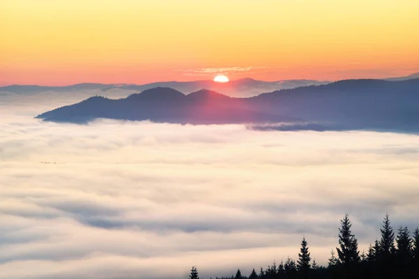 Mlhavé svítání v Karpatských horách — Stock fotografie