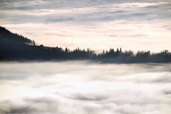 Nevoeiro do mar em um vale de montanha nos Cárpatos — Fotografia de Stock