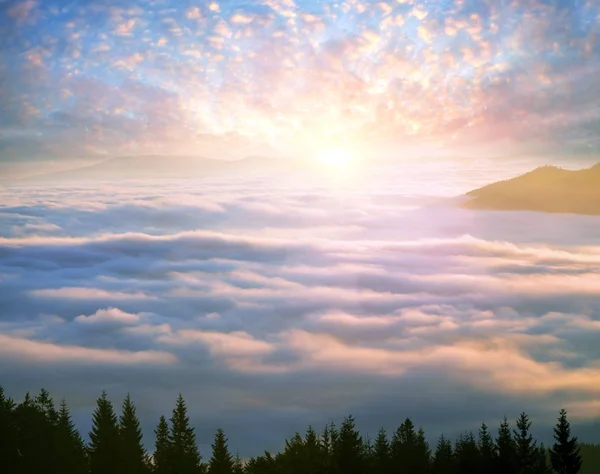 Foggy sunrise in the Carpathian mountains — Stock Photo, Image