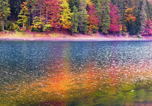 Synevir lake autumn colors — Stock Photo, Image