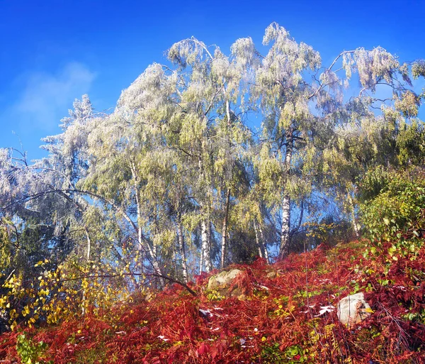 Sokal Ridge in the fall — Stock Photo, Image