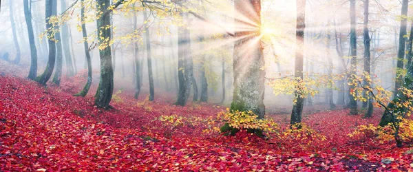 Otoño en las montañas de Europa — Foto de Stock