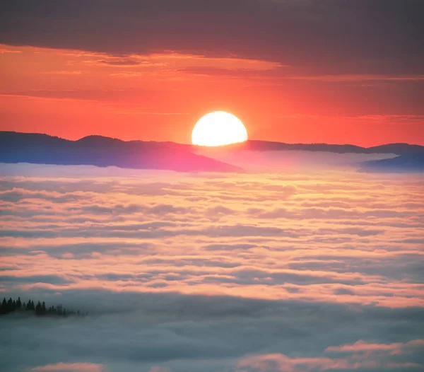 På en bergsdal i Karpaterna dimma på havet — Stockfoto
