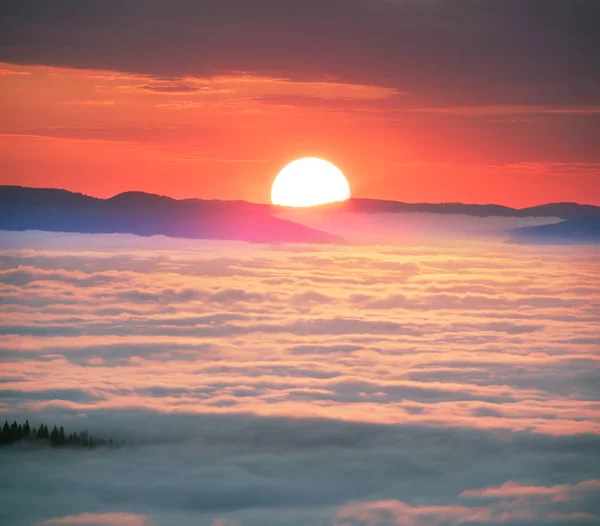 Niebla marina en un valle montañoso en los Cárpatos — Foto de Stock