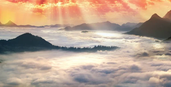 Ranní mlha na horském údolí v Karpatech — Stock fotografie