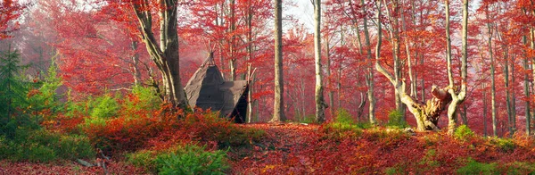 Wigwam in the autumn forest