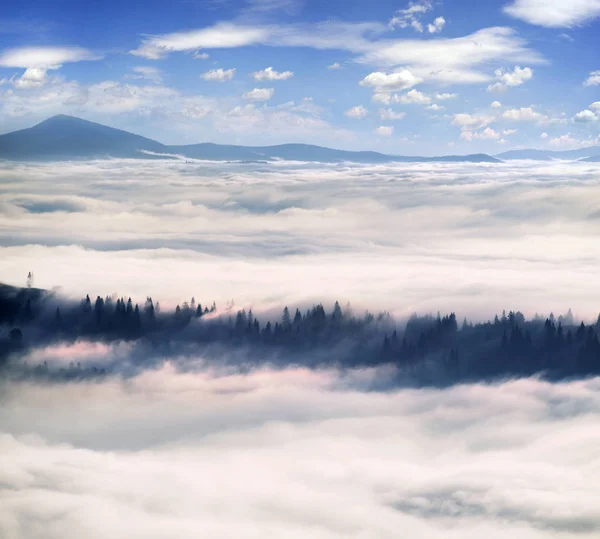 Ranní mlha na horském údolí v Karpatech — Stock fotografie