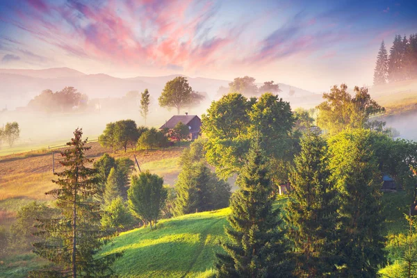 Mistige zonsopgang in de Karpaten — Stockfoto