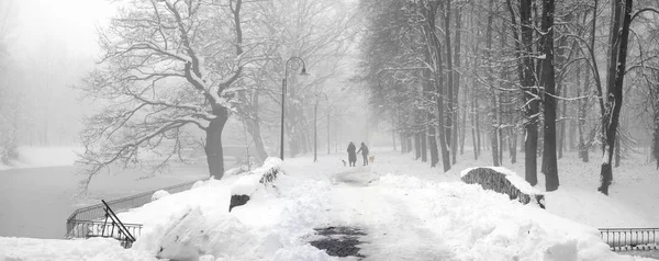 Walking the dogs in the fog — Stock Photo, Image