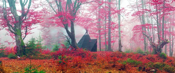 Wigwam nella foresta autunnale — Foto Stock