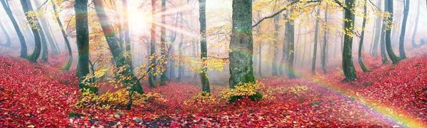 Herfst in de bergen van Europa — Stockfoto