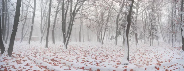 Park nach einem Schneesturm — Stockfoto