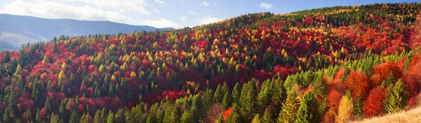 Kalter Herbst in prekären Verhältnissen — Stockfoto