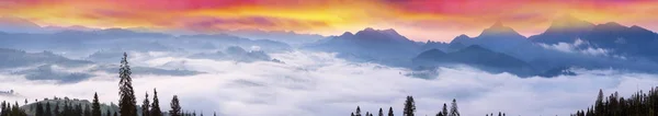 카 르 파 티아 산맥에 안개 일출 — 스톡 사진