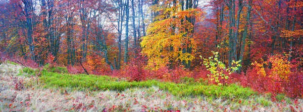 Осень в горах Европы — стоковое фото