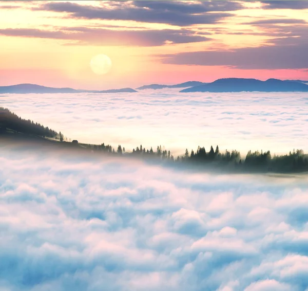 Niebla marina en un valle montañoso en los Cárpatos — Foto de Stock